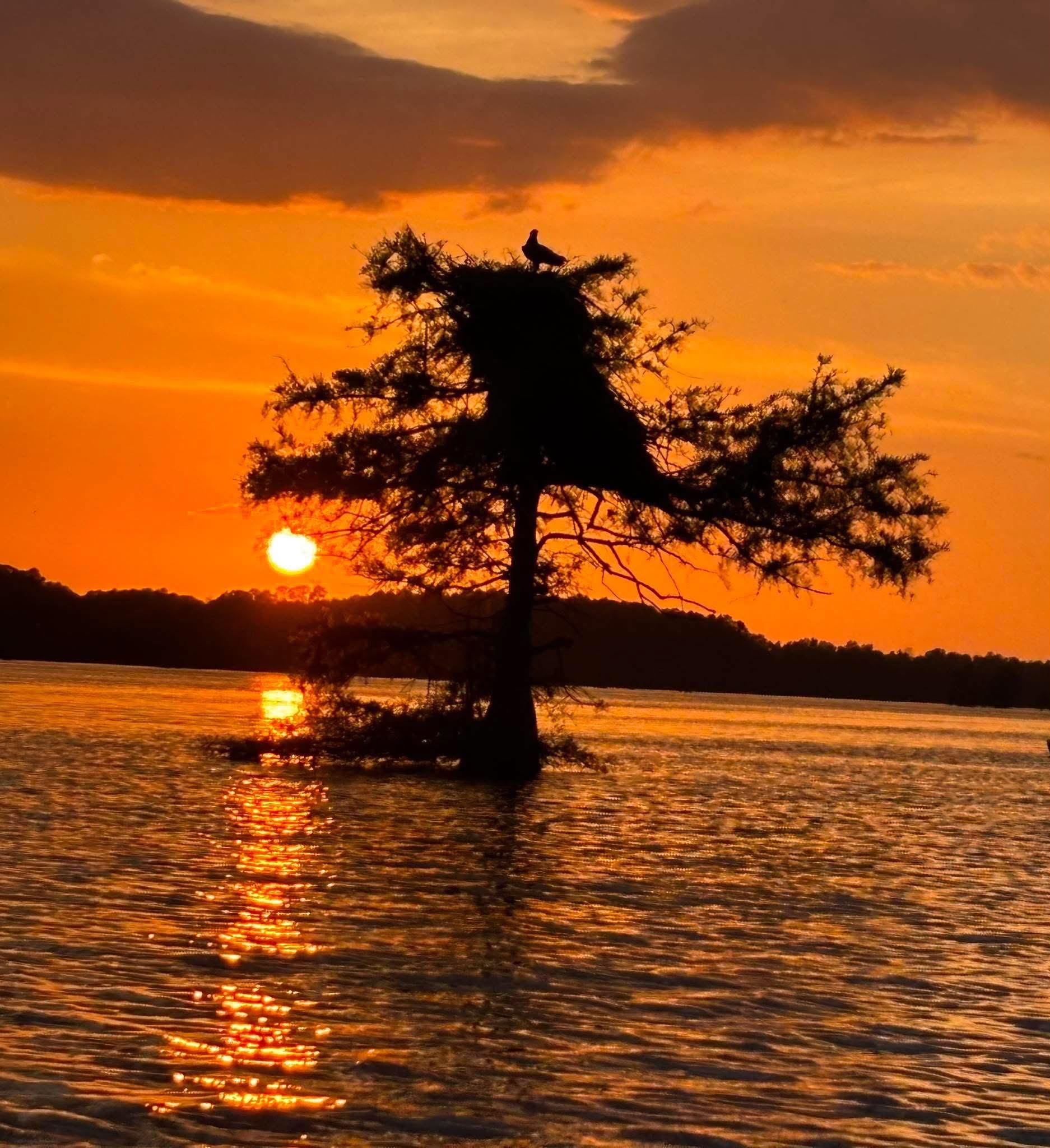 Sunset on the water, from Dawn’s festival page